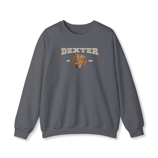 Pet College Embroidery Sweatshirt